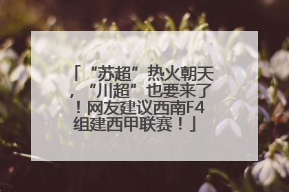 “苏超”热火朝天，“川超”也要来了！网友建议西南F4组建西甲联赛！