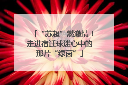 “苏超”燃激情！走进宿迁球迷心中的那片“绿茵”
