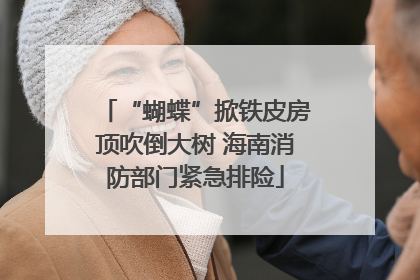 “蝴蝶”掀铁皮房顶吹倒大树 海南消防部门紧急排险