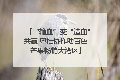 “输血”变“造血”共赢 粤桂协作助百色芒果畅销大湾区