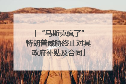 “马斯克疯了” 特朗普威胁终止对其政府补贴及合同