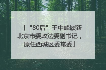 “80后”王中峰履新北京市委政法委副书记，原任西城区委常委