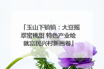 玉山下镇镇：大豆摇翠蜜桃甜 特色产业绘就富民兴村新画卷
