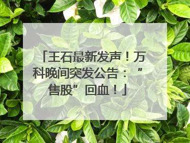 王石最新发声！万科晚间突发公告：“售股”回血！
