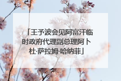 王予波会见阿富汗临时政府代理副总理阿卜杜·萨拉姆·哈纳菲