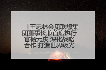 王忠林会见联想集团董事长兼首席执行官杨元庆 深化战略合作 打造世界级光电子信息产业集群