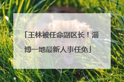王林被任命副区长！淄博一地最新人事任免