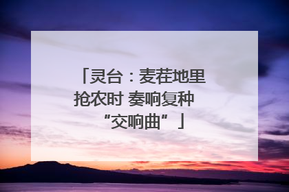 灵台：麦茬地里抢农时 奏响复种“交响曲”
