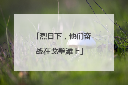 烈日下，他们奋战在戈壁滩上