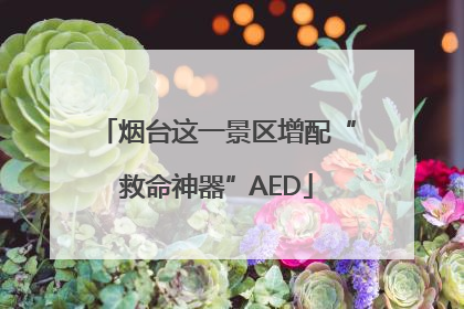 烟台这一景区增配“救命神器”AED