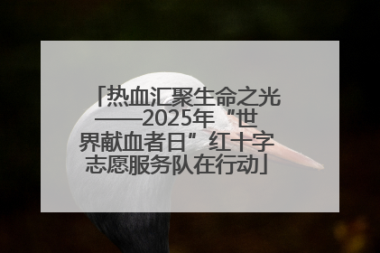 热血汇聚生命之光——2025年“世界献血者日”红十字志愿服务队在行动