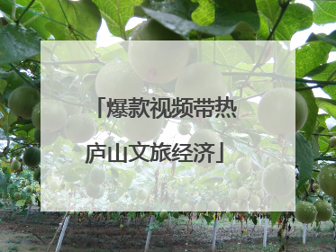 爆款视频带热庐山文旅经济