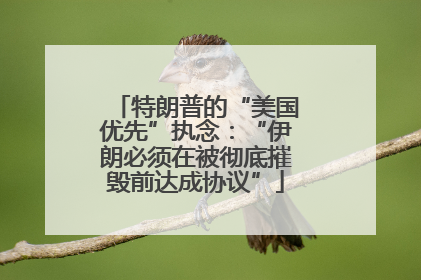 特朗普的“美国优先”执念：“伊朗必须在被彻底摧毁前达成协议”