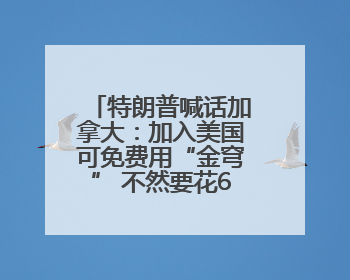 特朗普喊话加拿大：加入美国可免费用“金穹” 不然要花610亿美元