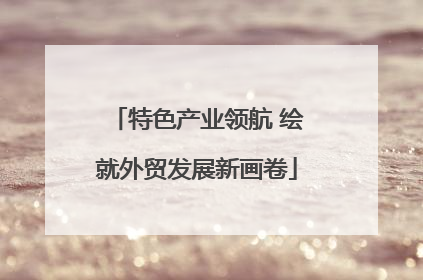 特色产业领航 绘就外贸发展新画卷
