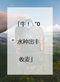 牛！“0”水种出丰收麦