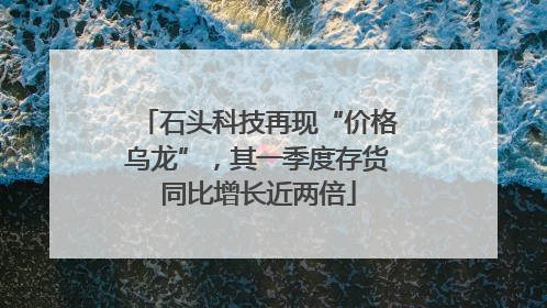 石头科技再现“价格乌龙”，其一季度存货同比增长近两倍