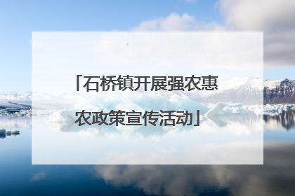 石桥镇开展强农惠农政策宣传活动