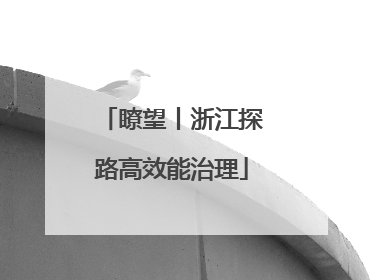 瞭望丨浙江探路高效能治理