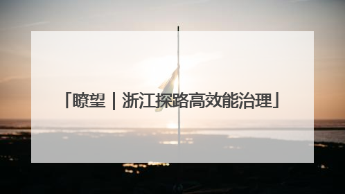 瞭望｜浙江探路高效能治理