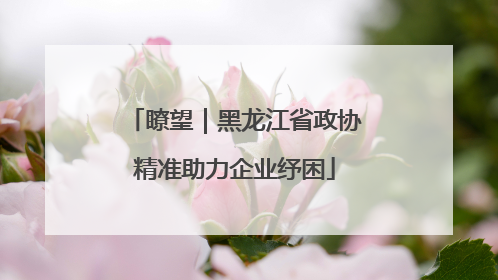瞭望｜黑龙江省政协精准助力企业纾困