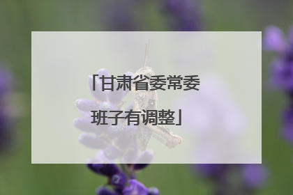 甘肃省委常委班子有调整