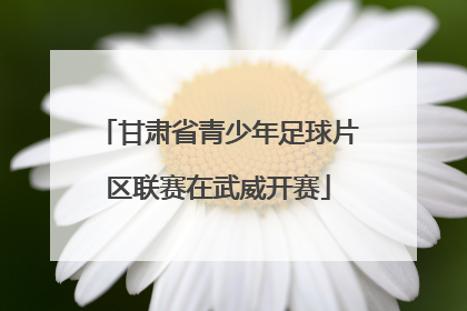 甘肃省青少年足球片区联赛在武威开赛