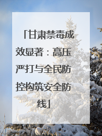甘肃禁毒成效显著：高压严打与全民防控构筑安全防线