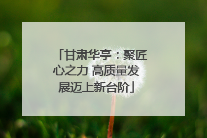 甘肃华亭：聚匠心之力 高质量发展迈上新台阶