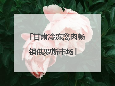 甘肃冷冻禽肉畅销俄罗斯市场