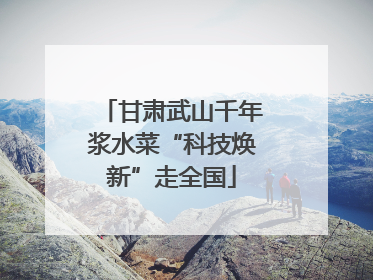 甘肃武山千年浆水菜“科技焕新”走全国