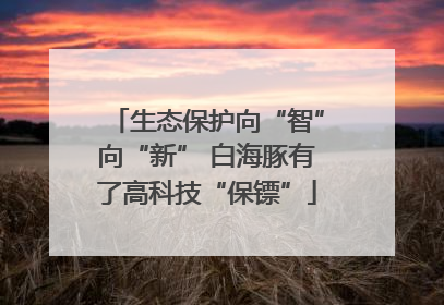 生态保护向“智”向“新” 白海豚有了高科技“保镖”