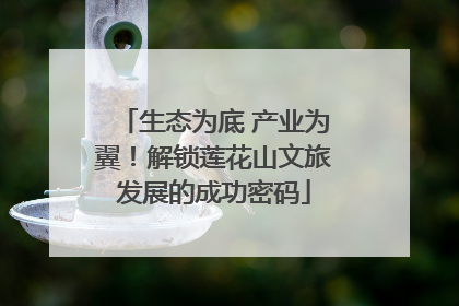 生态为底 产业为翼！解锁莲花山文旅发展的成功密码