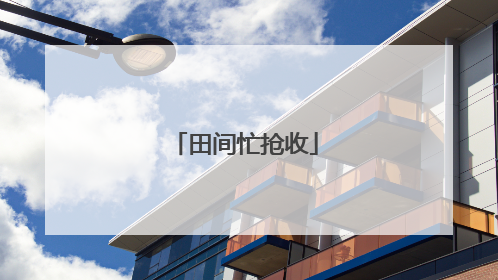 田间忙抢收