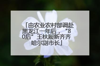 由农业农村部调赴黑龙江一年后，“80后”王杕履新齐齐哈尔副市长