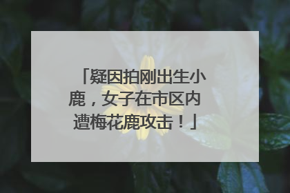 疑因拍刚出生小鹿，女子在市区内遭梅花鹿攻击！