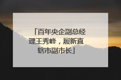 百年央企副总经理王秀峰，履新直辖市副市长