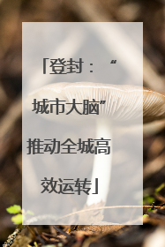 登封：“城市大脑”推动全城高效运转