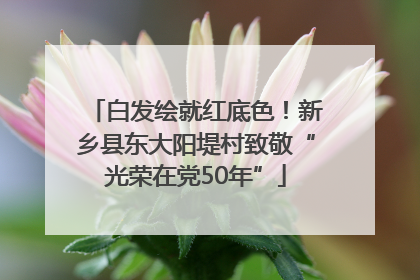 白发绘就红底色！新乡县东大阳堤村致敬“光荣在党50年”