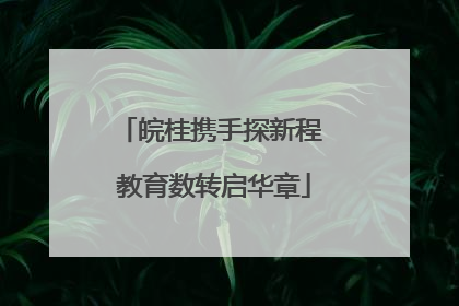 皖桂携手探新程 教育数转启华章