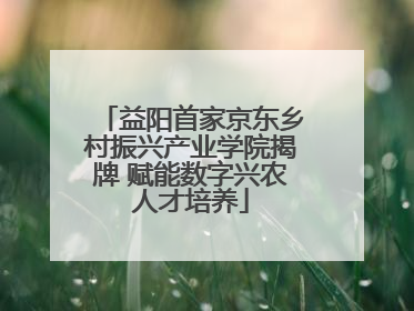 益阳首家京东乡村振兴产业学院揭牌 赋能数字兴农人才培养