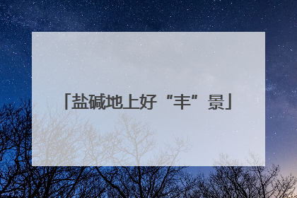 盐碱地上好“丰”景