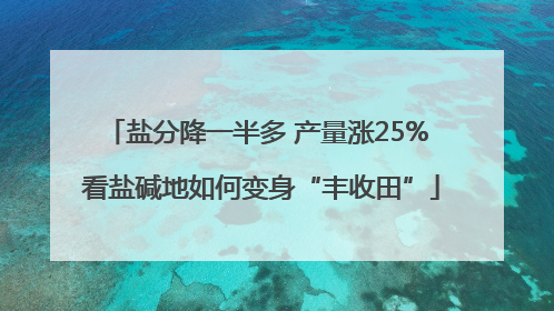 盐分降一半多 产量涨25% 看盐碱地如何变身“丰收田”