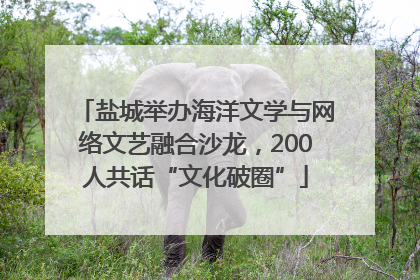 盐城举办海洋文学与网络文艺融合沙龙，200人共话“文化破圈”