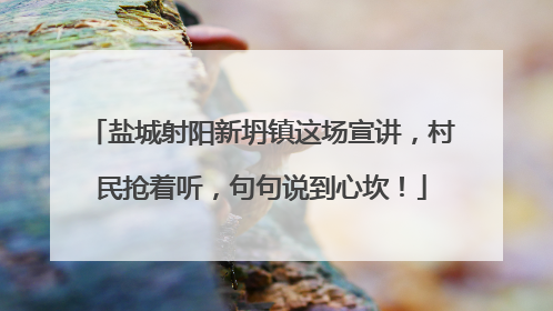 盐城射阳新坍镇这场宣讲，村民抢着听，句句说到心坎！