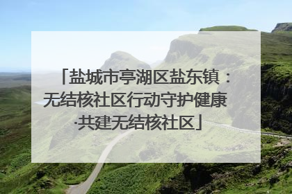 盐城市亭湖区盐东镇：无结核社区行动守护健康 ·共建无结核社区