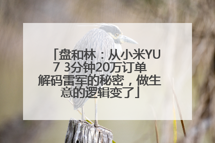 盘和林：从小米YU7 3分钟20万订单解码雷军的秘密，做生意的逻辑变了
