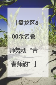 盘龙区800余名教师舞动“青春师韵”