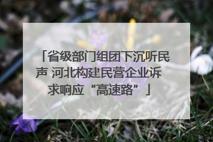 省级部门组团下沉听民声 河北构建民营企业诉求响应“高速路”