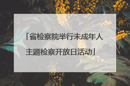 省检察院举行未成年人主题检察开放日活动